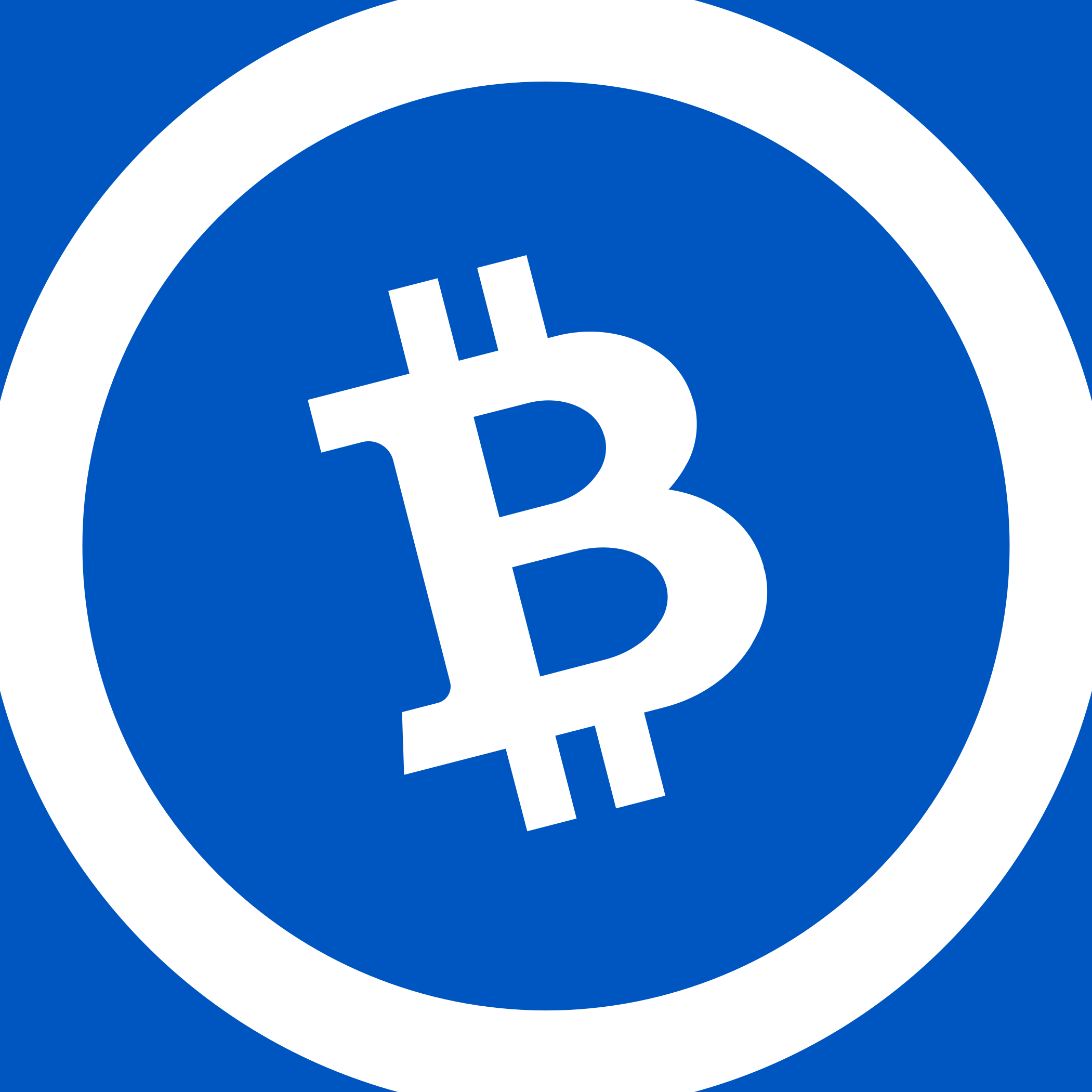 Update the current logo to a square · Issue #1526 · Electron-Cash/Electron- Cash