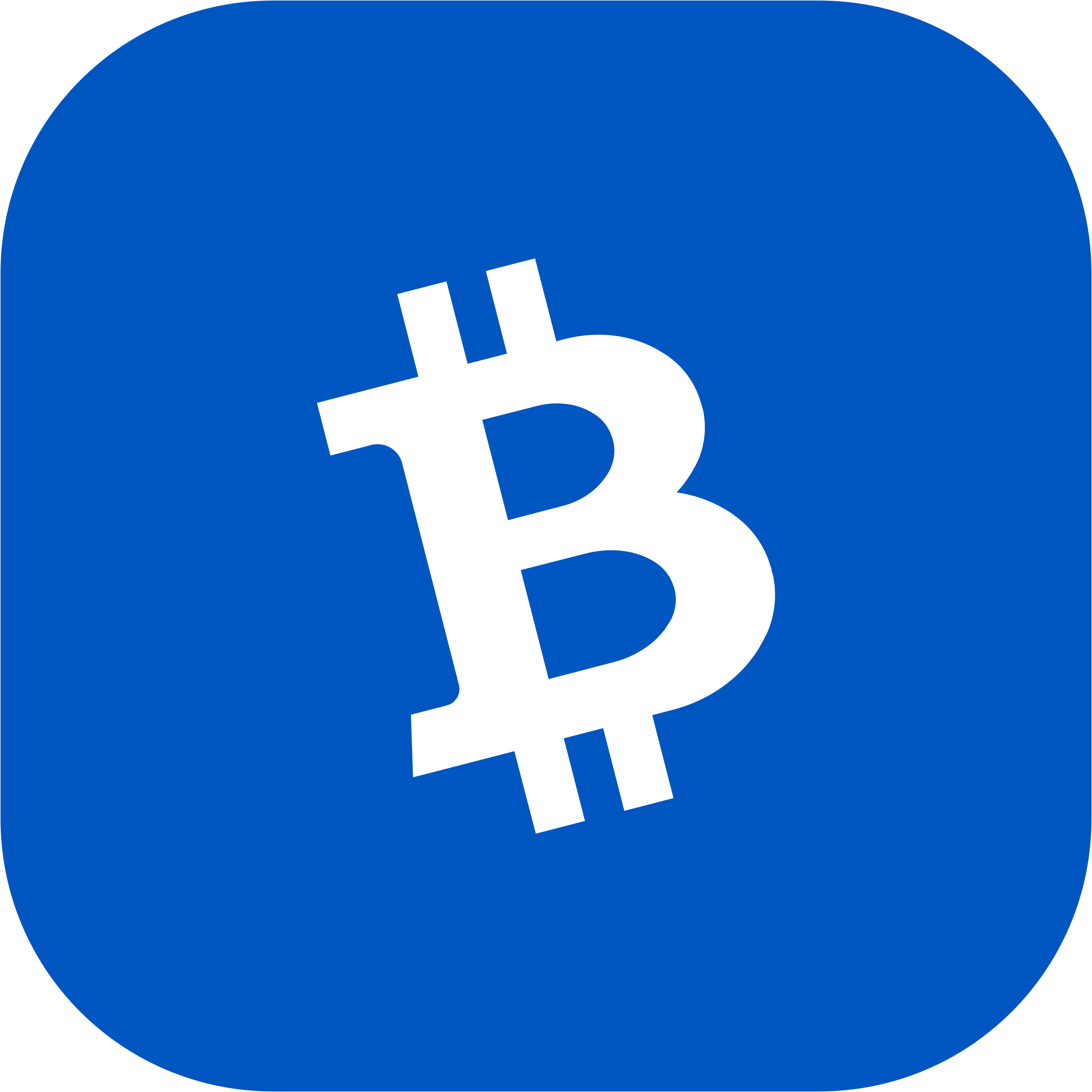 Electron Cash Logo Square 2 svg