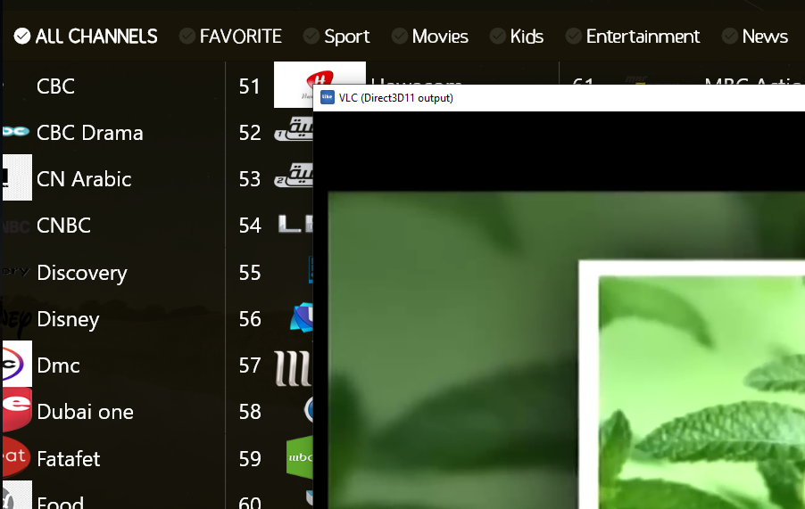 UDP stream on Windows opens in new window · Issue 237 · alexmercerind