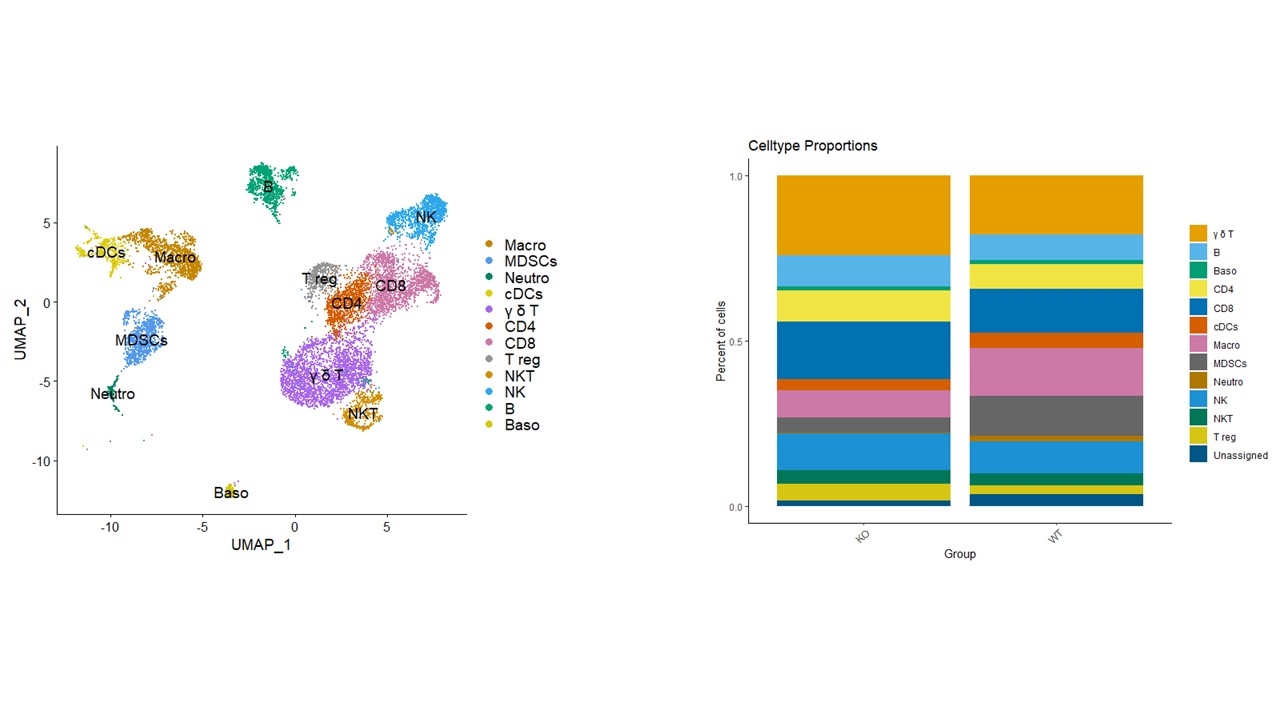 Reorder levels from dimplot to dittobarplot · Issue #4201 · satijalab ...