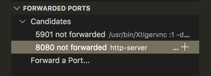 Can't forward candidate ports · Issue #88060 · microsoft/vscode · GitHub