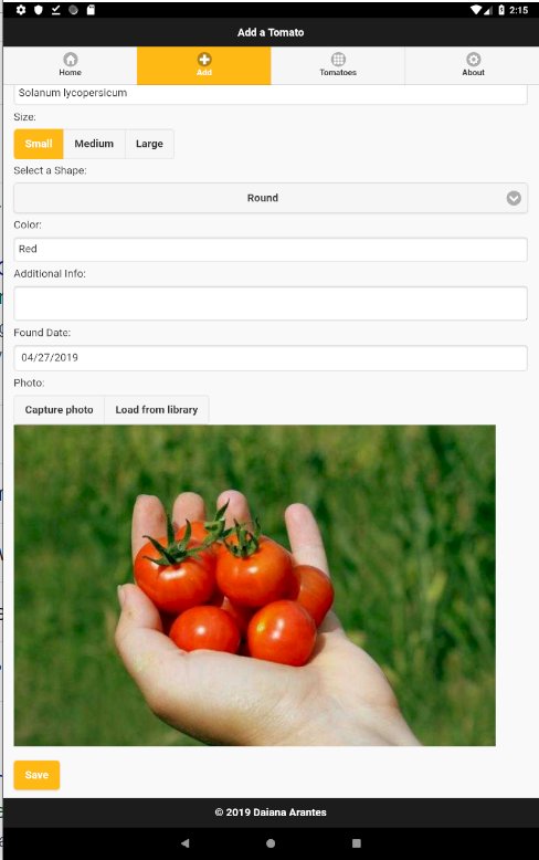 GitHub - DaianaArantes/TomatoBook: Android Mobile Application using ...