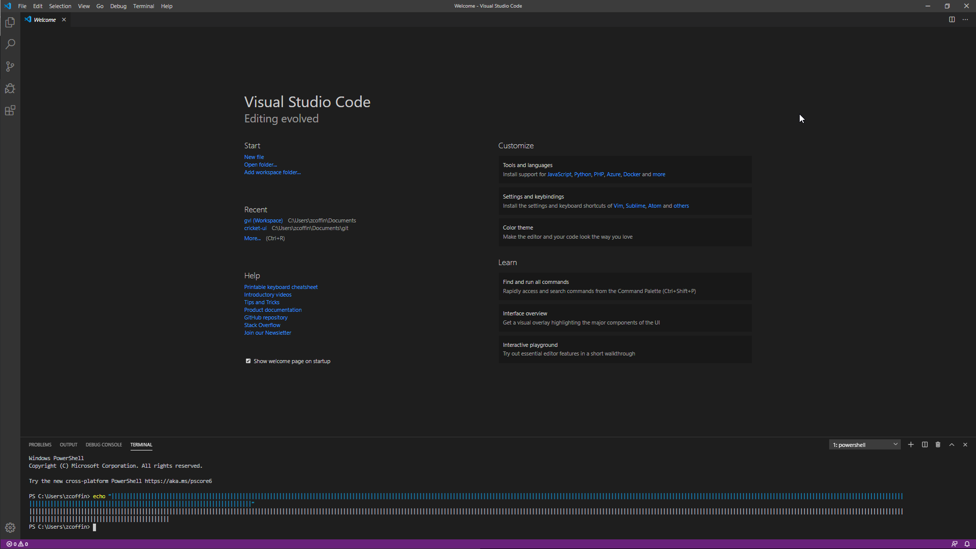 Undesirable Font Variations in Terminal · Issue #90928 · microsoft ...