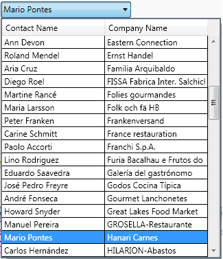 WpfCustomComboBox1 1
