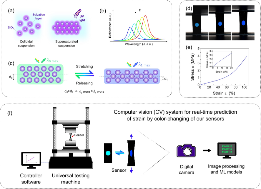GitHub - lucascorreiaribas/postdoc-computer-vision-sensors: This ...