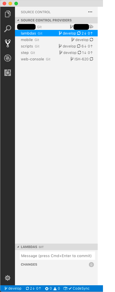 Source control view: staging area repeatedly displayed at bottom ...