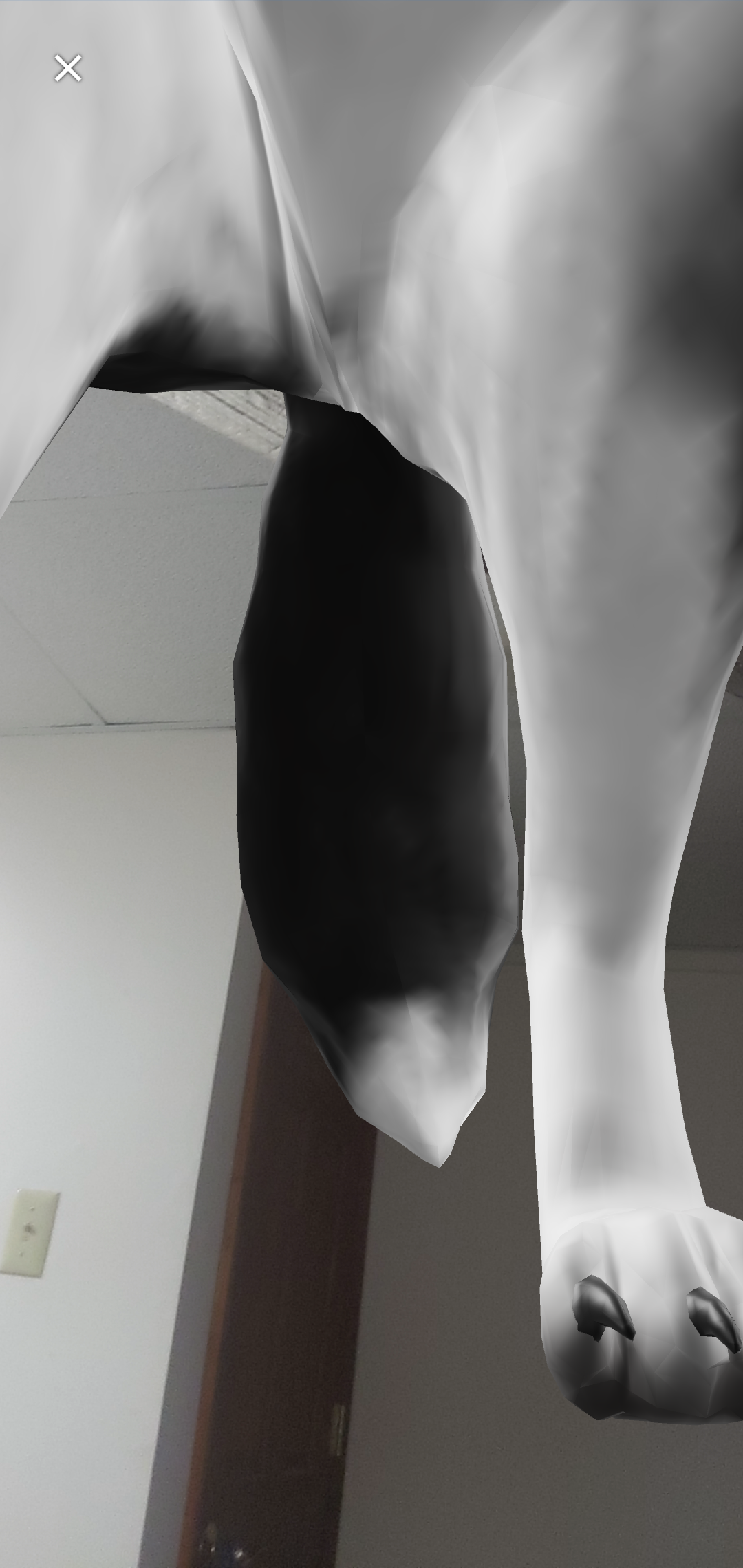 Screenshot_20210224-180152