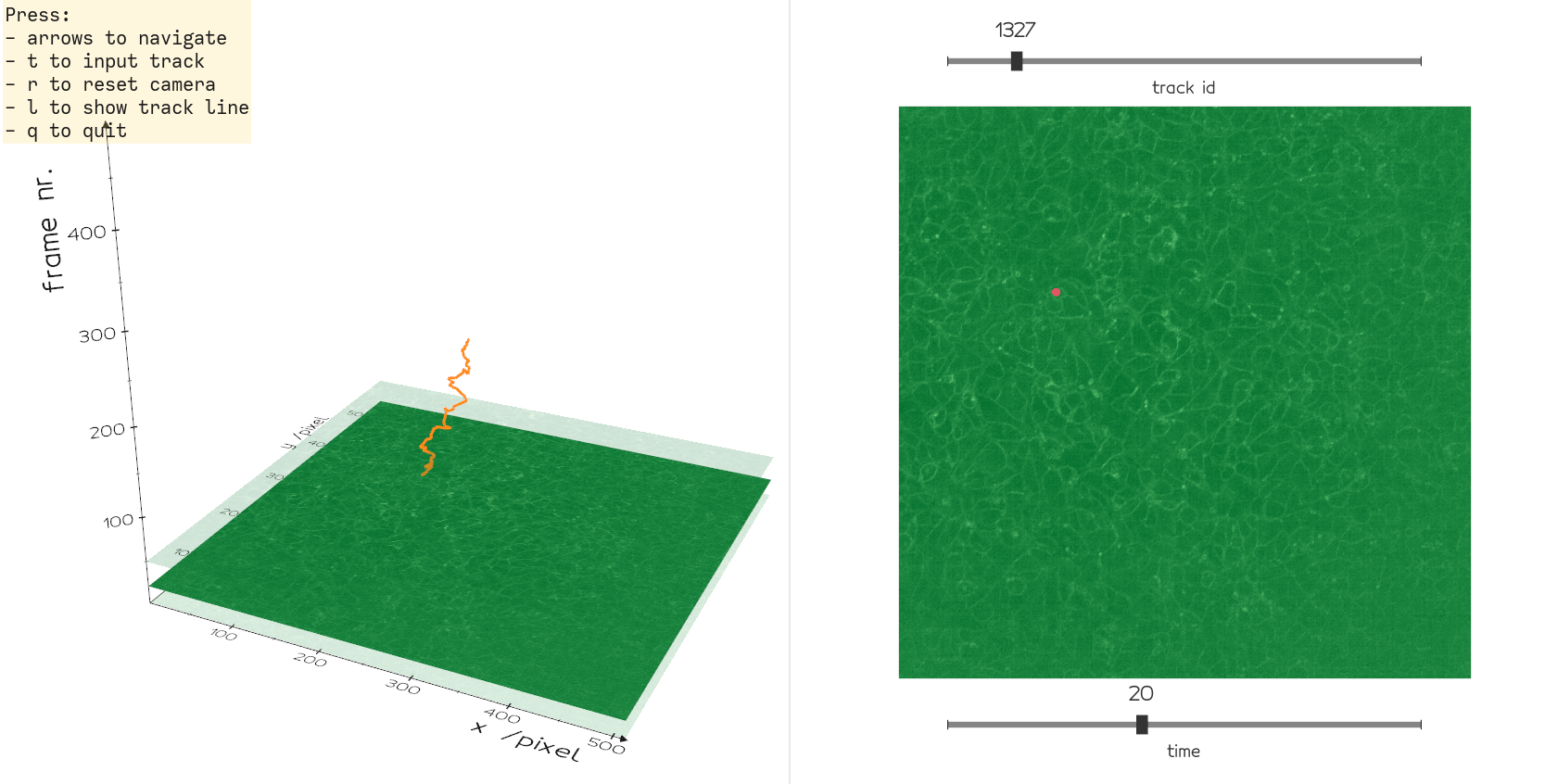 GitHub - marcomusy/trackviewer: Browse cell tracks from segmented sample