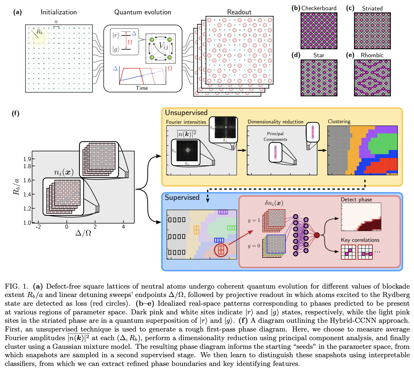 Machine learning discovery of new phases in programmable quantum ...