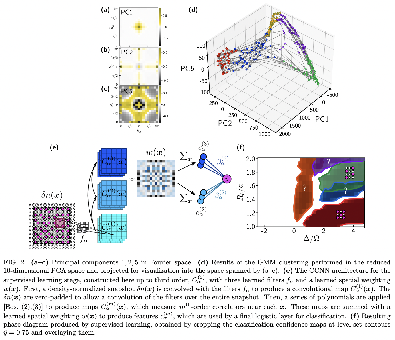 Machine learning discovery of new phases in programmable quantum ...