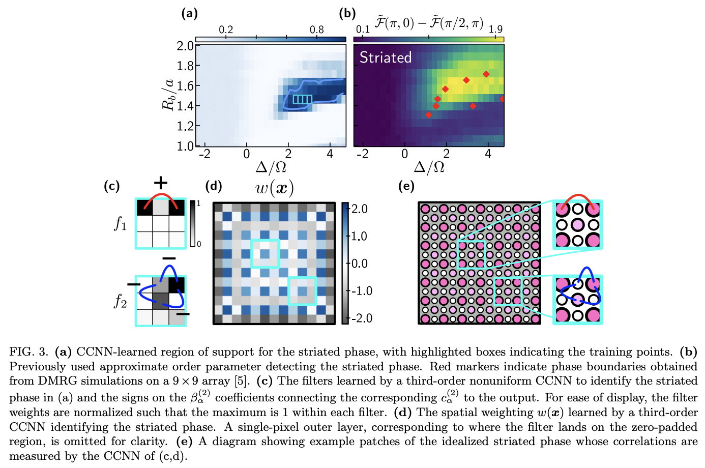 Machine learning discovery of new phases in programmable quantum ...
