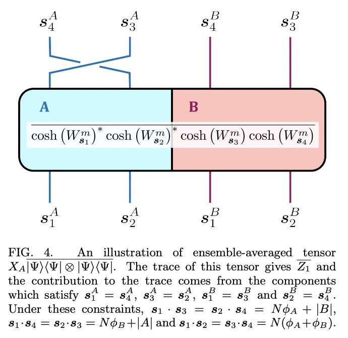 Entanglement Features of Random Neural Network Quantum States · Issue ...