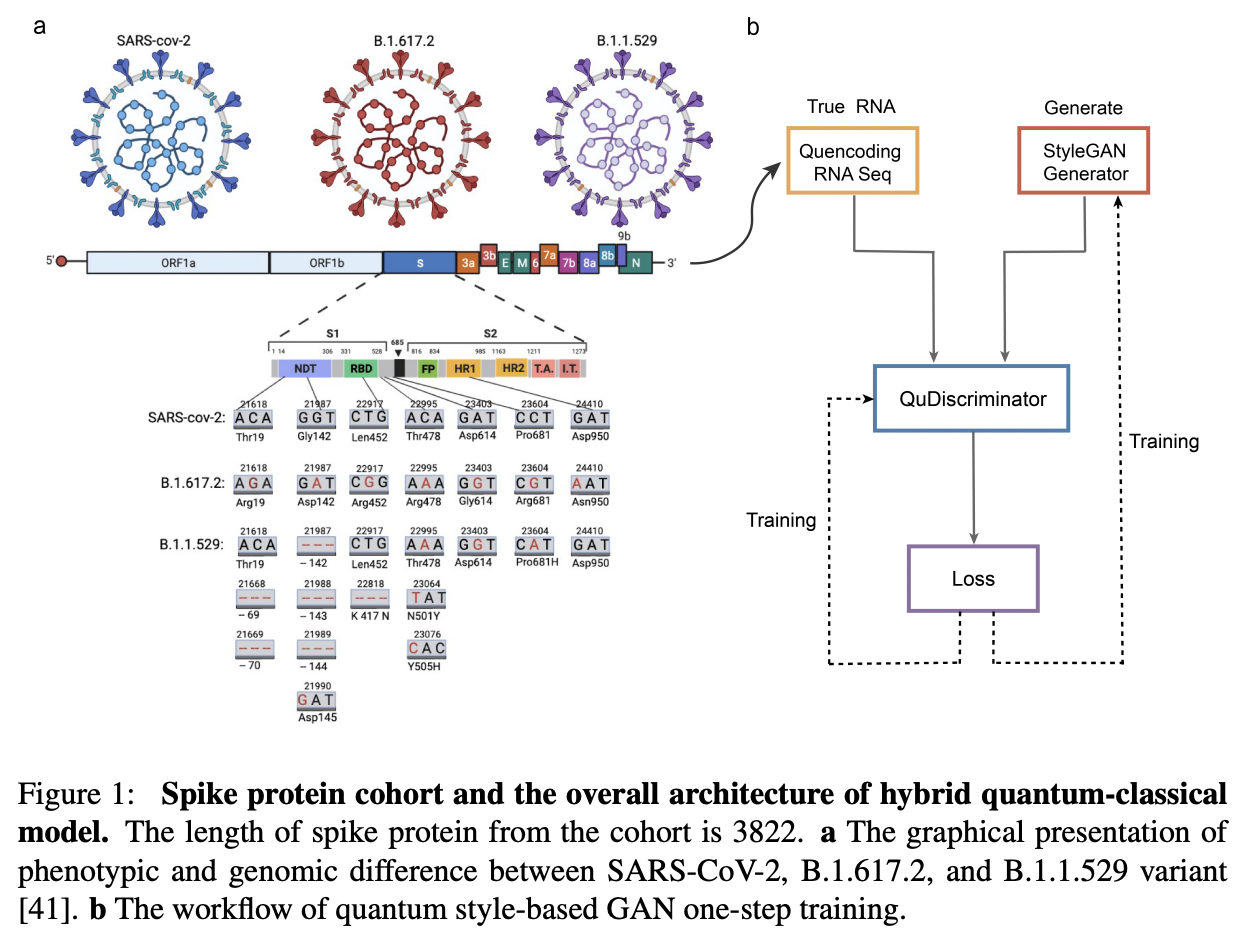 Quantum Deep Learning for Mutant COVID-19 Strain Prediction · Issue ...