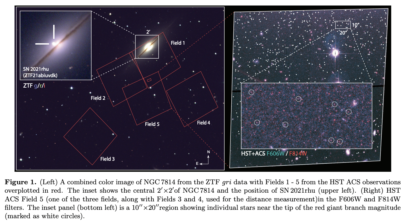 A Uniform Type Ia Supernova Distance Ladder with the Zwicky Transient ...