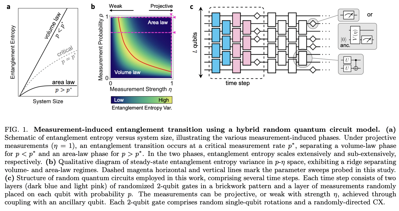 Experimental Realization of a Measurement-Induced Entanglement Phase ...