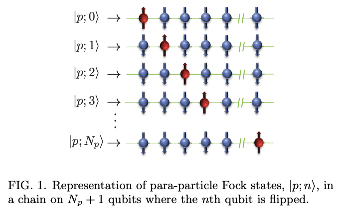 Para-particle oscillator simulations on a trapped ion quantum computer ...