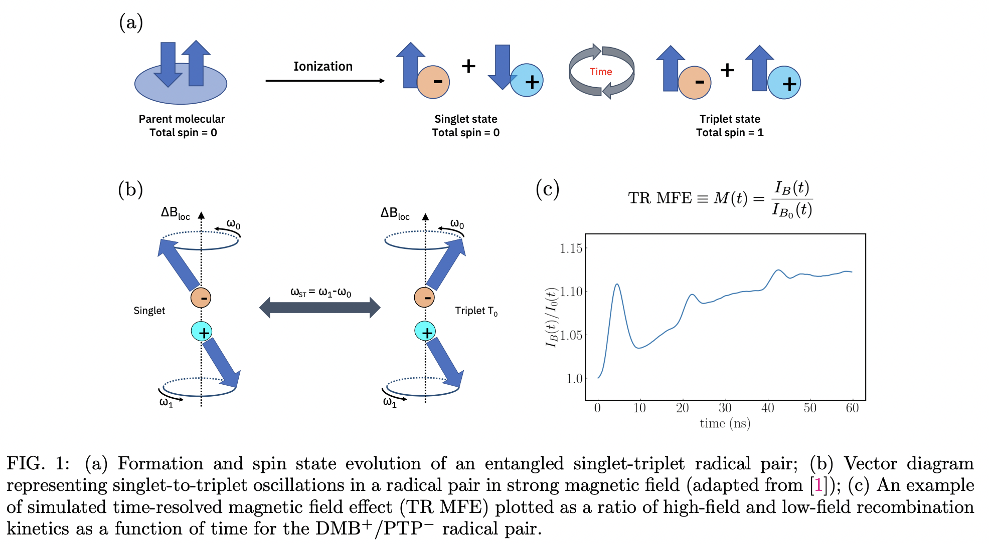 Hamiltonian Simulation of Quantum Beats in Radical Pairs Undergoing ...