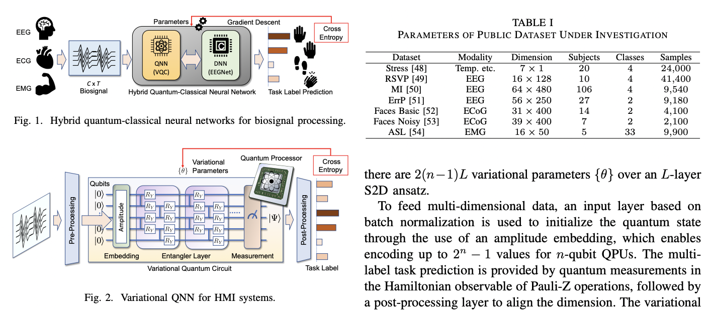 quEEGNet: Quantum AI for Biosignal Processing · Issue #3641 · github ...