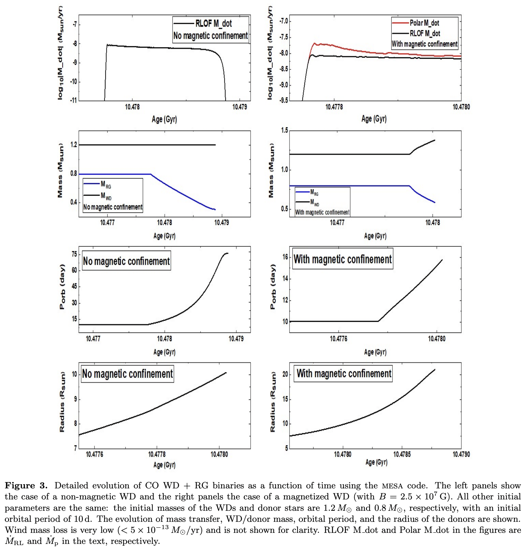 White dwarf -- red giant star binaries as Type Ia supernova progenitors ...