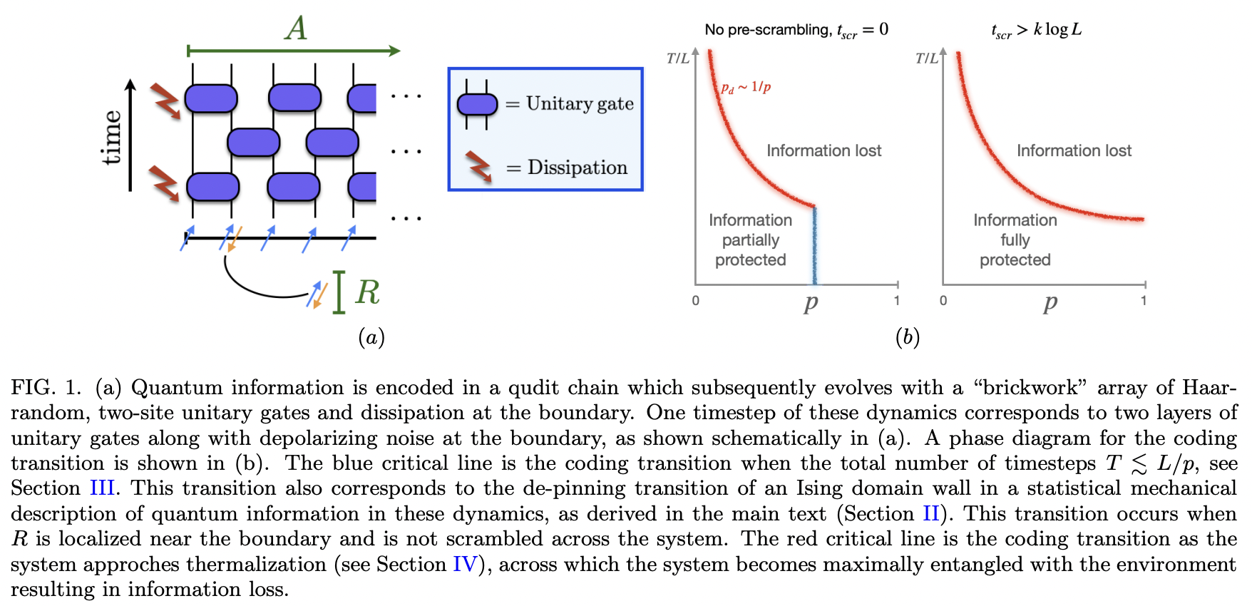 Quantum Coding Transitions in the Presence of Boundary Dissipation ...