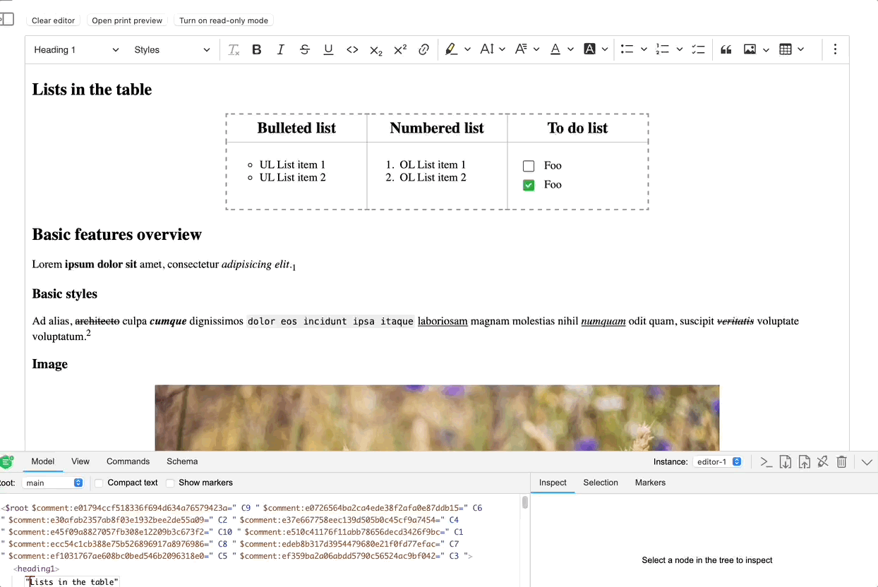 japanese safari issue