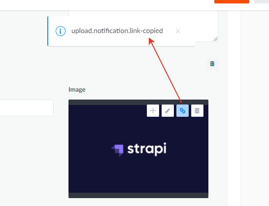 Annoying Admin panel bugs · Issue #7669 · strapi/strapi · GitHub