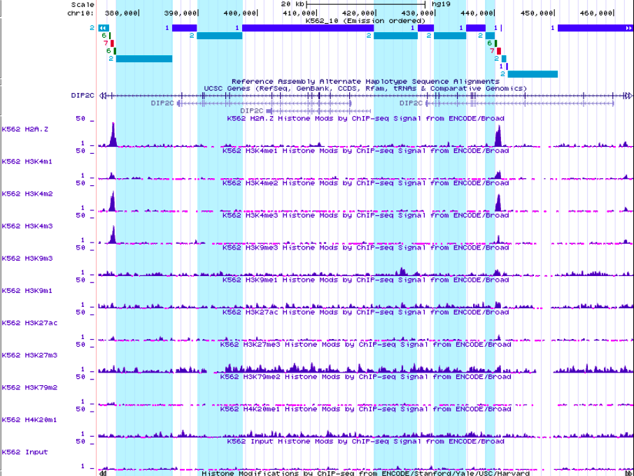 GitHub - DariaRev/hse_hw3_chromhmm