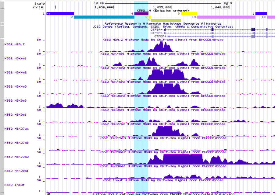 GitHub - DariaRev/hse_hw3_chromhmm