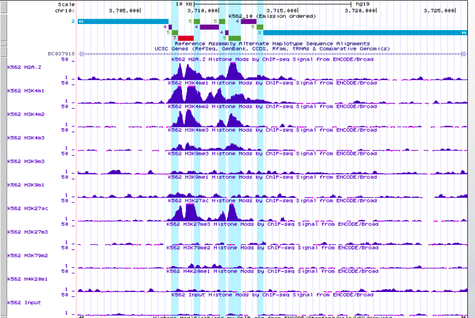 GitHub - DariaRev/hse_hw3_chromhmm