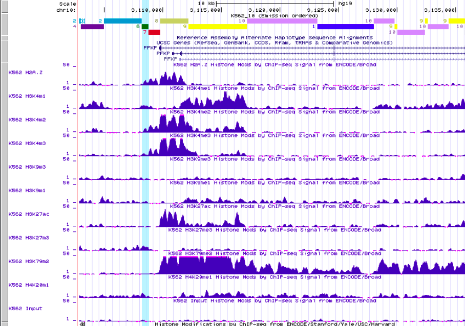GitHub - DariaRev/hse_hw3_chromhmm