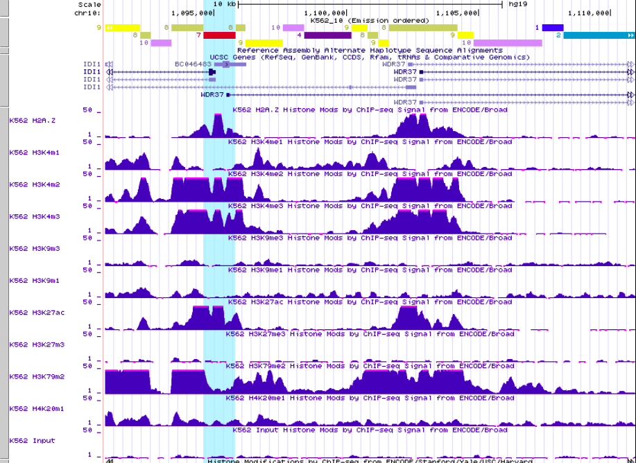 GitHub - DariaRev/hse_hw3_chromhmm