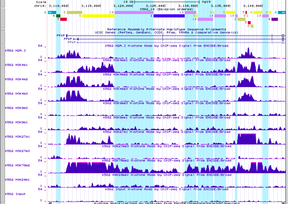 GitHub - DariaRev/hse_hw3_chromhmm