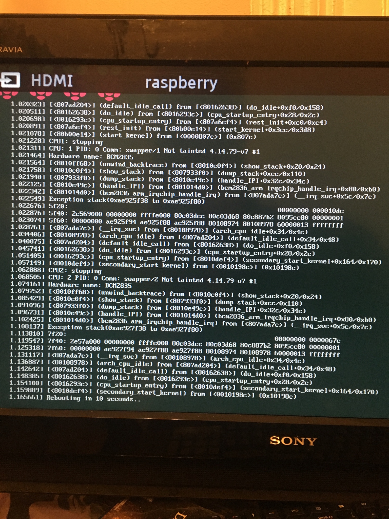 Reboot loop after update from dev20181008 to 20190119 · Issue 1825