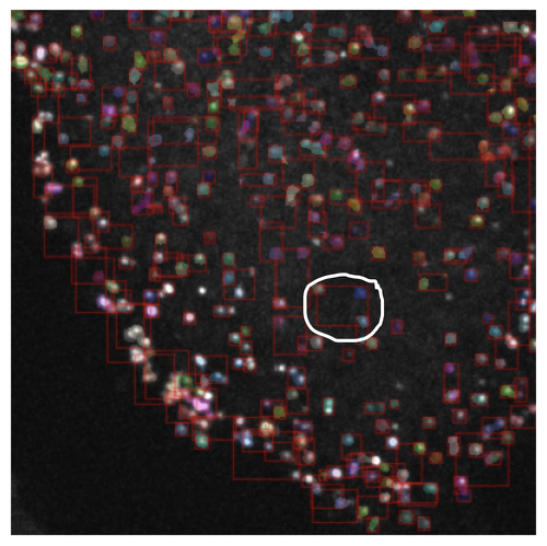 Problem with cell segmentation · Issue #209 · facebookresearch ...