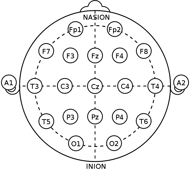 800px-21_electrodes_of_International_10-20_system_for_EEG svg
