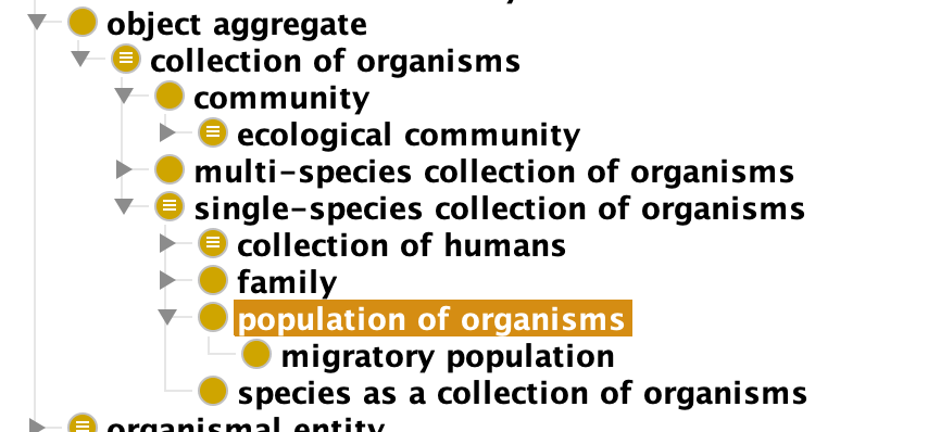 Screen Shot 2019-04-23 at 8 35 14 PM