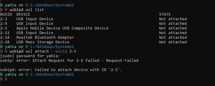 Unable to attach an iPhone to wsl2 · Issue #150 · dorssel/usbipd-win ...