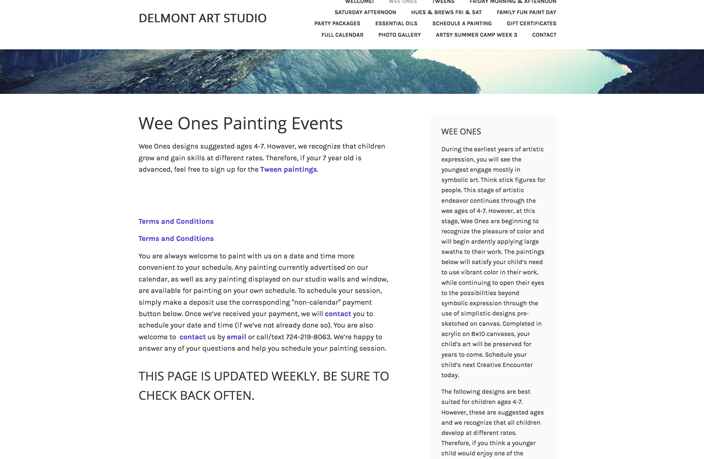 screen shot 2018-07-29 at 12 55 28 pm