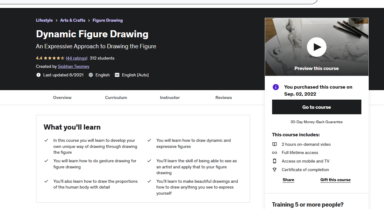 udemy figure drawing