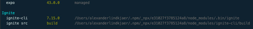 Expo EAS build fails on fresh project · Issue #1946 · infinitered ...