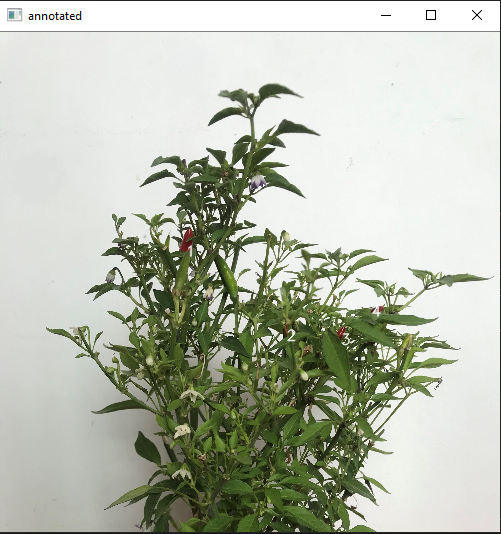 GitHub - aryan159/ChilliPlantManager: A program to count the number of ...