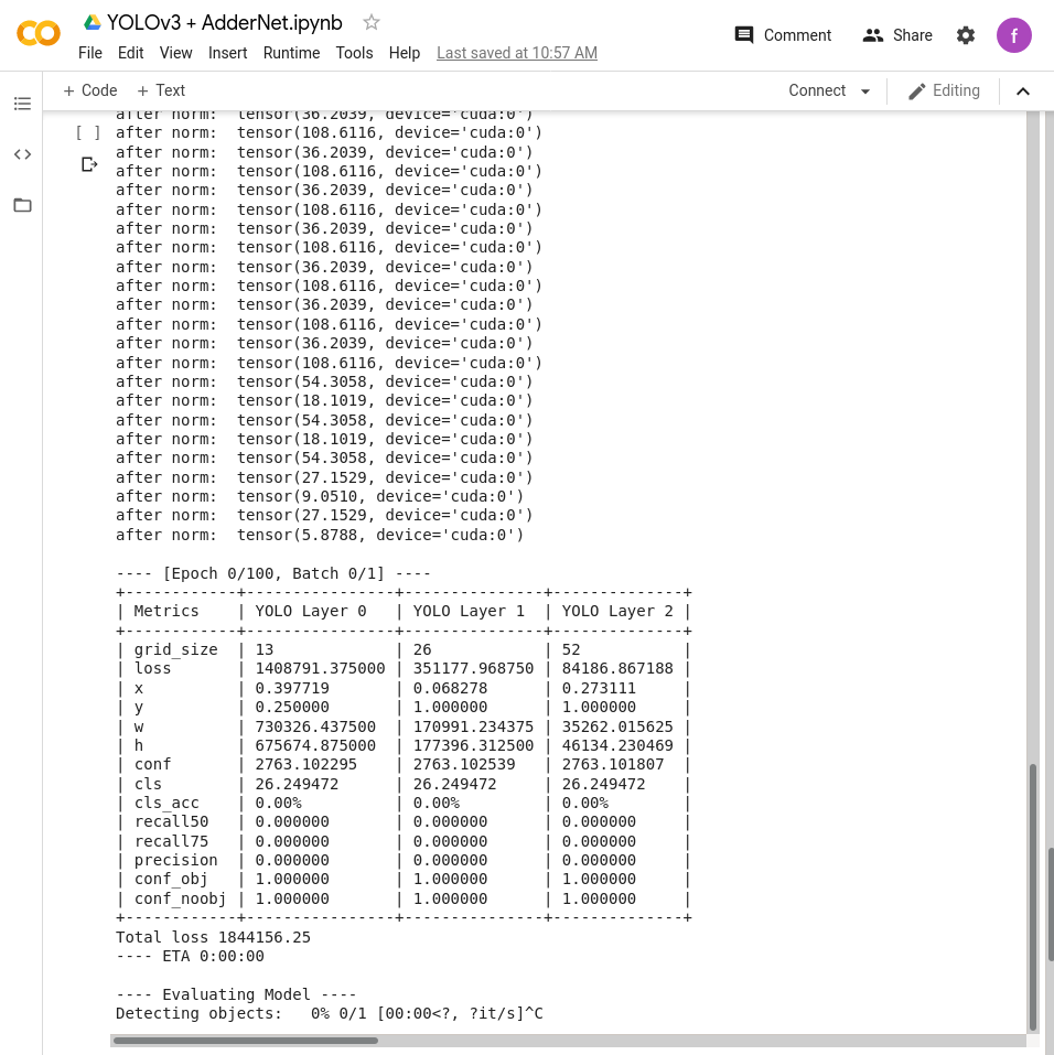 yolo_addernet_epoch_0