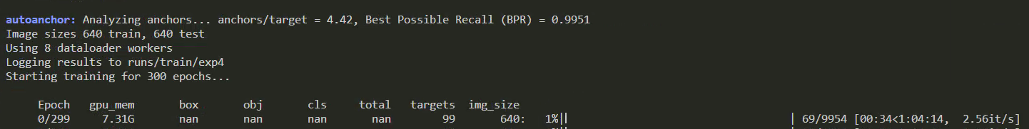 Why is the initial training loss of NAN when training on the coco data ...