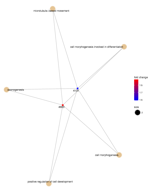 enrichmap