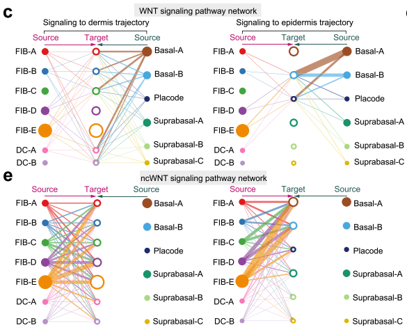 Cellchat Paper Re-create Hierarchical Plot in Paper · Issue #456 · sqjin/CellChat · GitHub