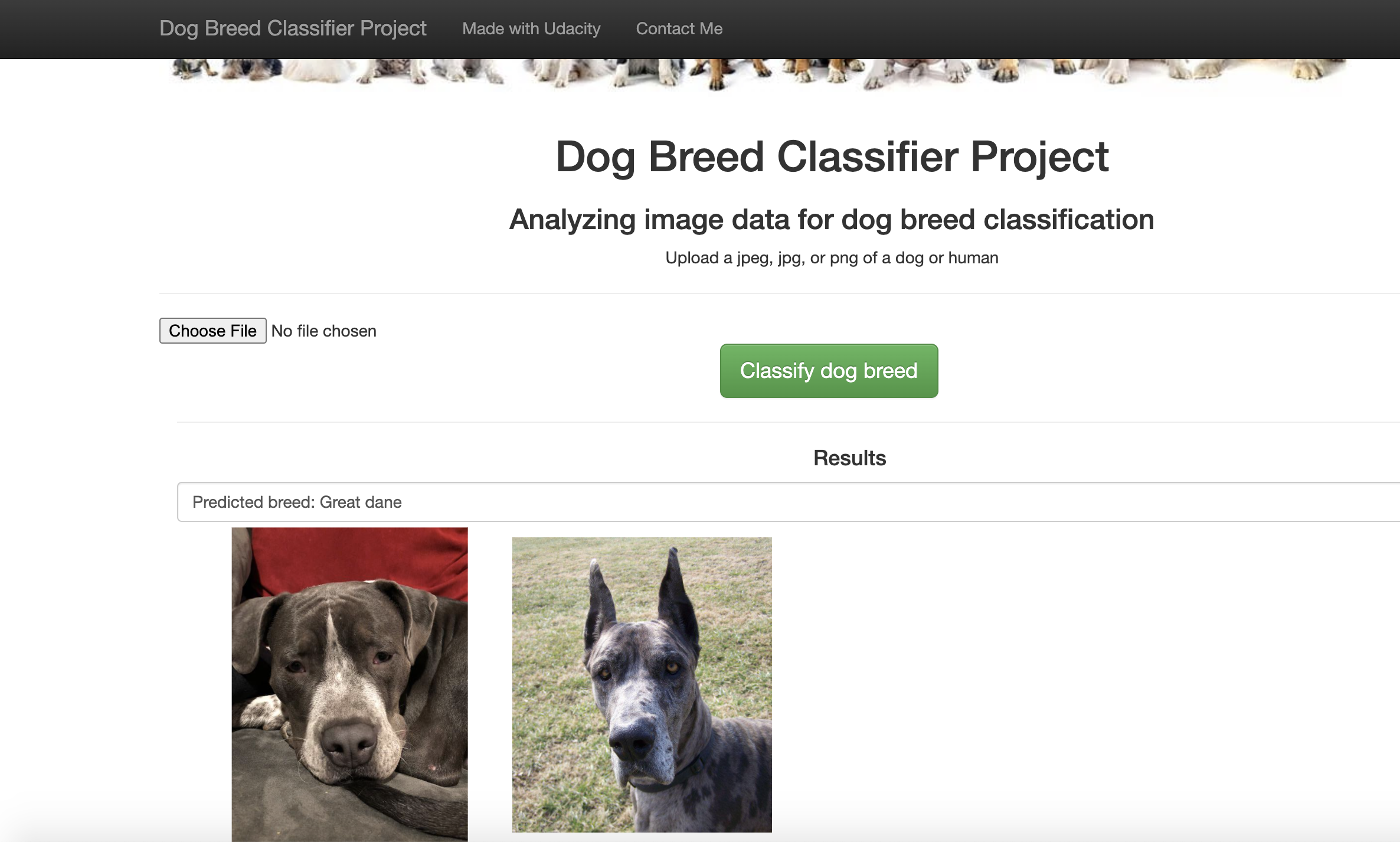 GitHub - AIduate/Dog_Breed_Classifier_App
