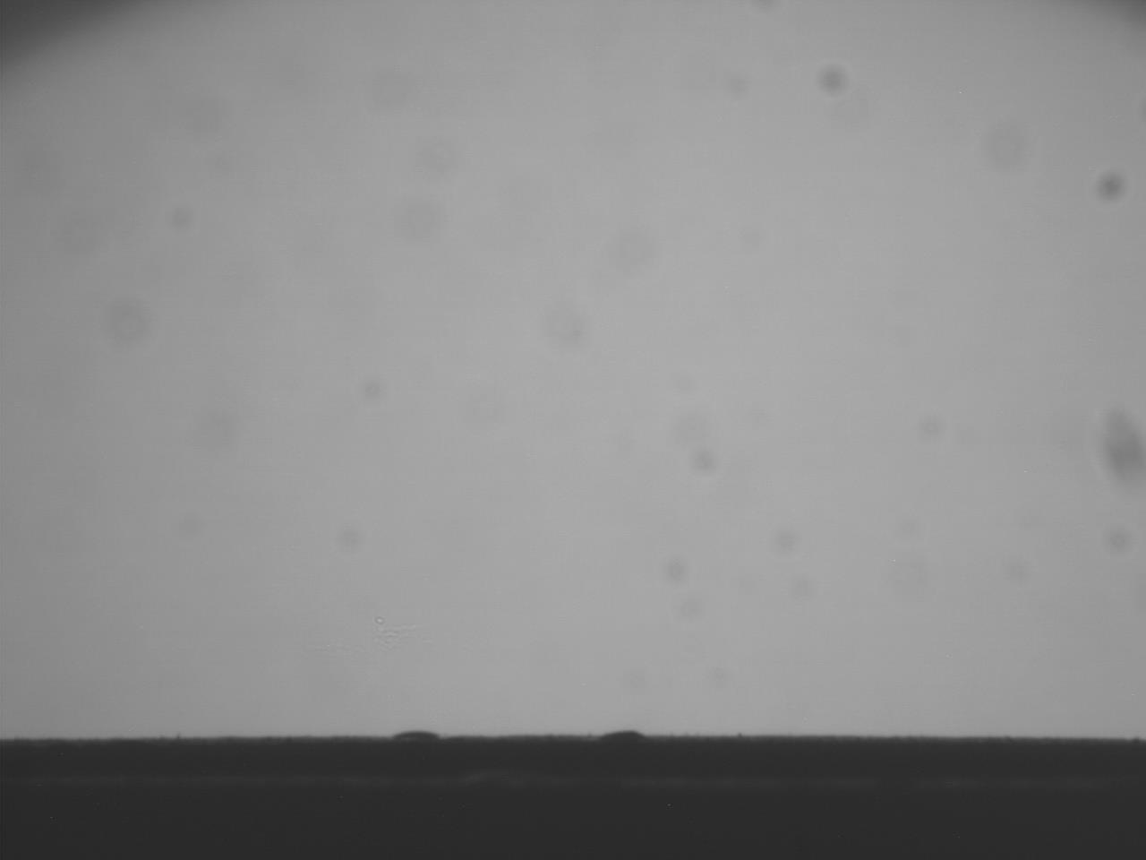 image_marne