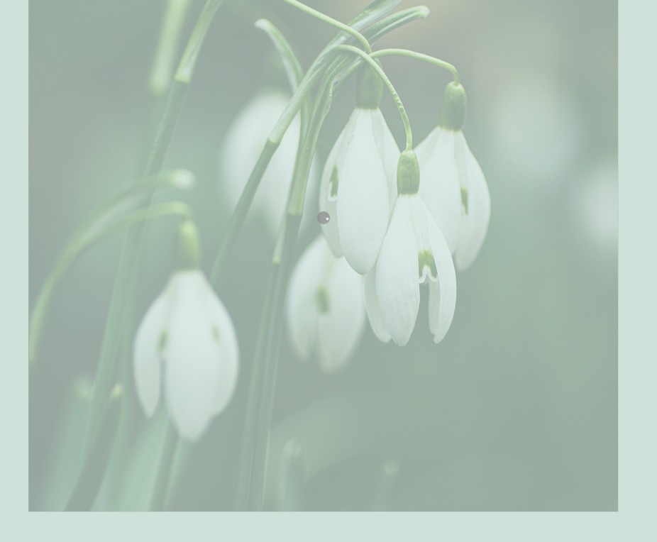 Screen Shot on 2021-04-05 at 07:46:02