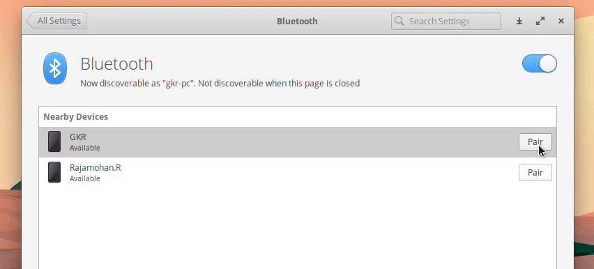 Bluetooth Connection Bug