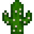 big cactus